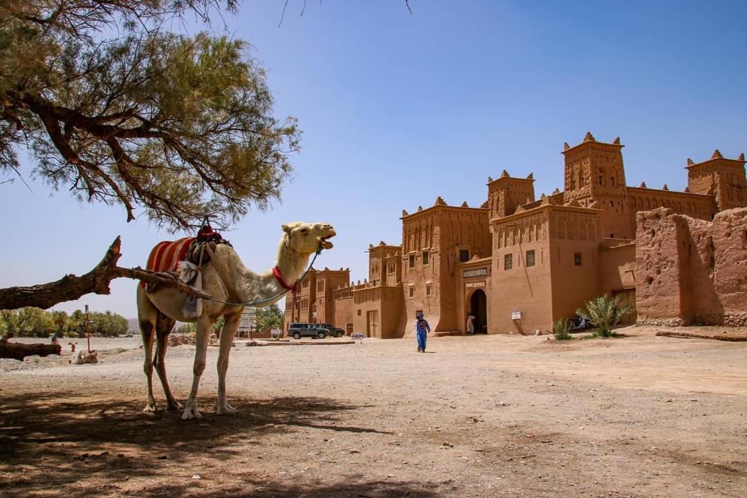 Готель Kasbah Tiriguioute Скура Екстер'єр фото
